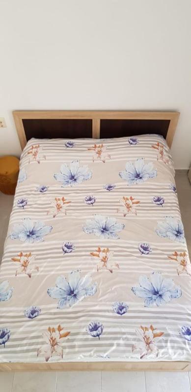 Pico Appartement
